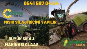 DÜZCE MISIR SİLAJI YAPIMI VE SİLAJ PAKETLEME